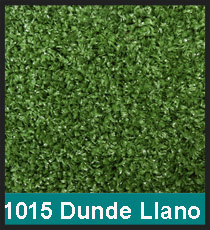 1015 Dunde Llano
